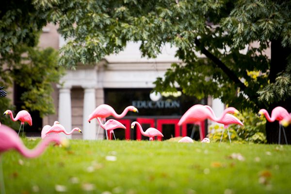 Fill the Hill Ed Building with pink Flamingos everywhere.